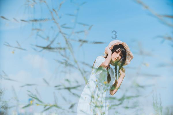 救援有趣的孔雀